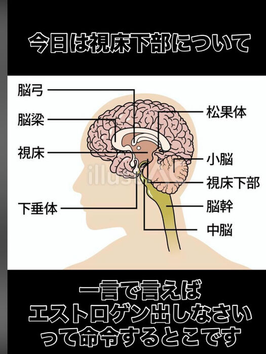 画像3424