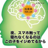 画像3426