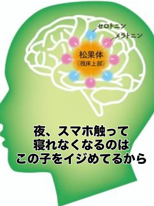 画像3426