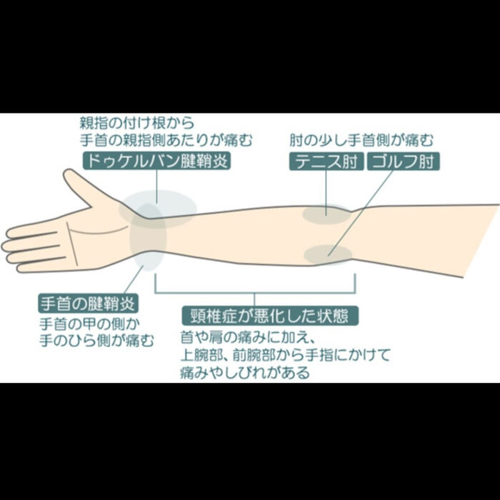画像3445