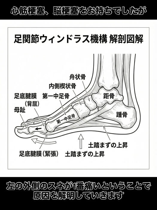 画像3449