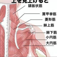 画像3451