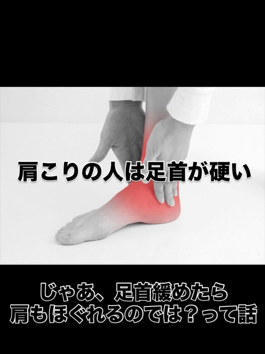画像3453