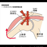 画像3455