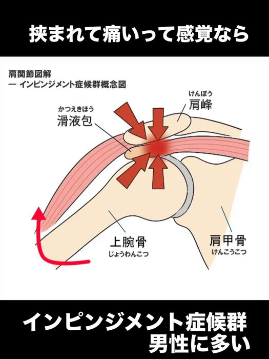 画像3455